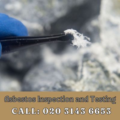 Comprehensive Asbestos Inspection and Testing Services in Hayes